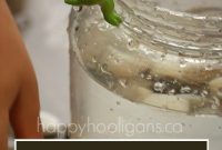 Preschool Water Displacement Science Activity: Hands-On Experiment