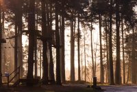 Find Your True Nature: Two Years and a Blogging Career IV