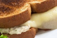 Cheesy Tuna Melt Recipe: Quick Tuna Cheese Sandwich Ideas