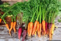 Chef Sharon Schaefer | School Nutrition Director — Gretna Public Schools, NE