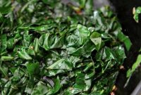 Smoky Bacon Collard Greens Recipe That Melts in Your Mouth