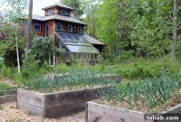 Raised Bed Gardening Guide for Beginners: Start Growing Vegetables