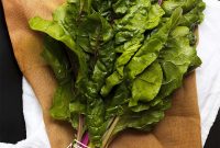 Swiss Chard Guide: Nutrition, Uses, and Cooking Tips
