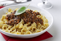 Vegan Lentil & Quinoa Bolognese Sauce Recipe