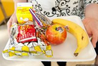 Understanding the National School Lunch Program: Benefits & Eligibility