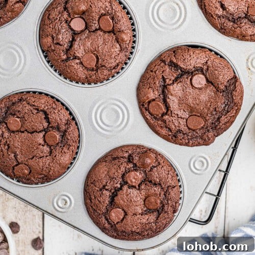 Closeup of the chocolate muffins in a muffin tin.