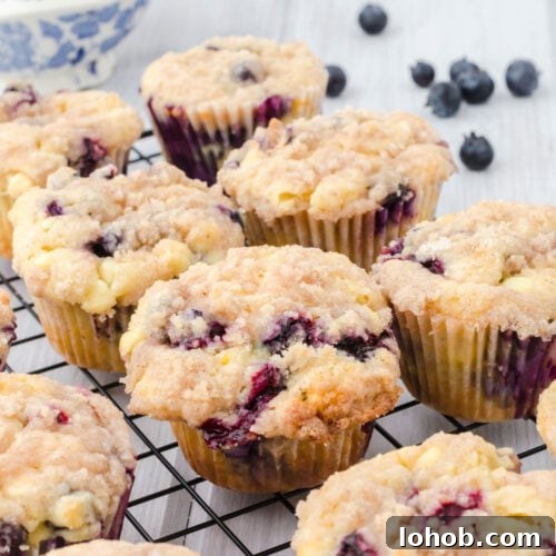 Blueberry muffins on a cooling rack. Feature image.