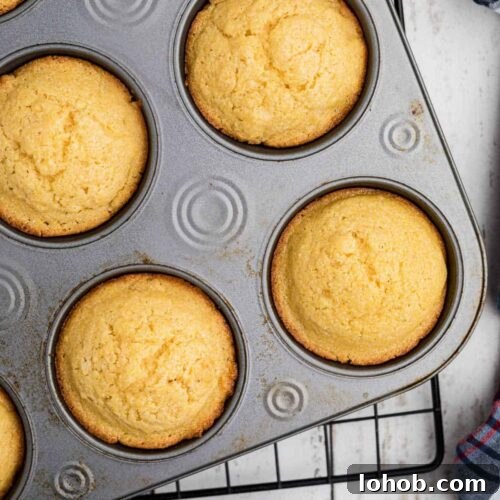 Closeup of cornmeal muffins in the baking tin.