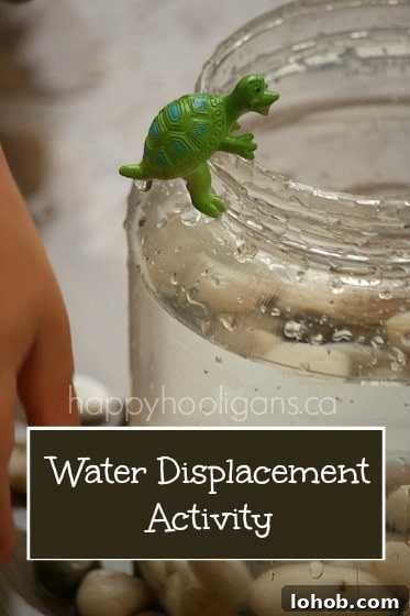Preschool Water Displacement Science Activity: Hands-On Experiment 2 water displacement science activity for kids