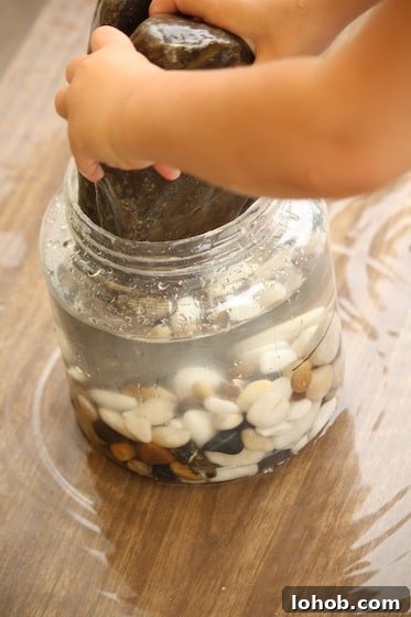 Preschool Water Displacement Science Activity: Hands-On Experiment 3 preschool water displacement experiment with stones and water in container