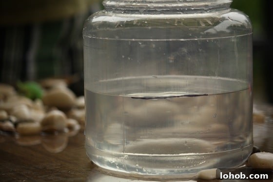 water displacement activity - an easy and fun experiment for kids water in container with waterline marked