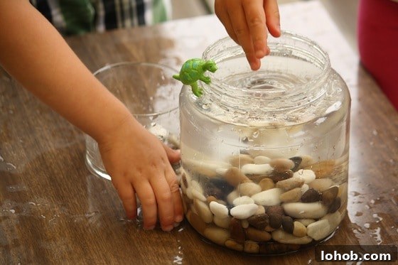 Preschool Water Displacement Science Activity: Hands-On Experiment 4 preschoolers adding rocks to water to observe water displacement