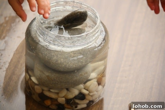 Preschool Water Displacement Science Activity: Hands-On Experiment 5 jar filled with rocks and water to observe water displacement
