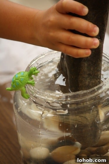 Preschool Water Displacement Science Activity: Hands-On Experiment 7 child adding large stone to container of water to raise water level