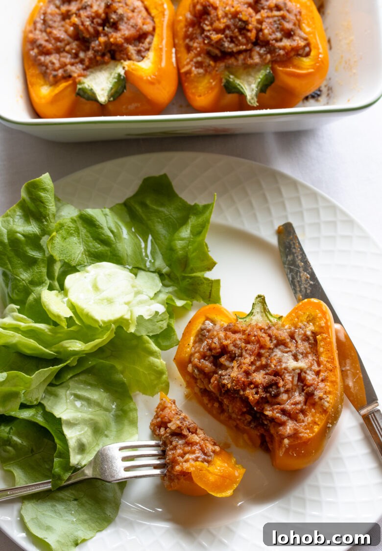 Stuffed bell peppers ready to be enjoyed on a white plate with green salad alongside.