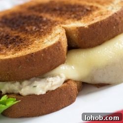 Tuna and a slice of melted swiss cheese on two pieces of toasted bread on a white plate.
