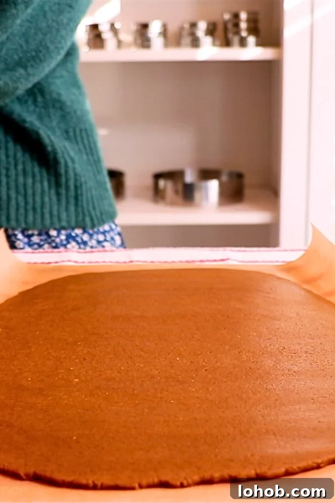 rolled gingerbread cookie dough