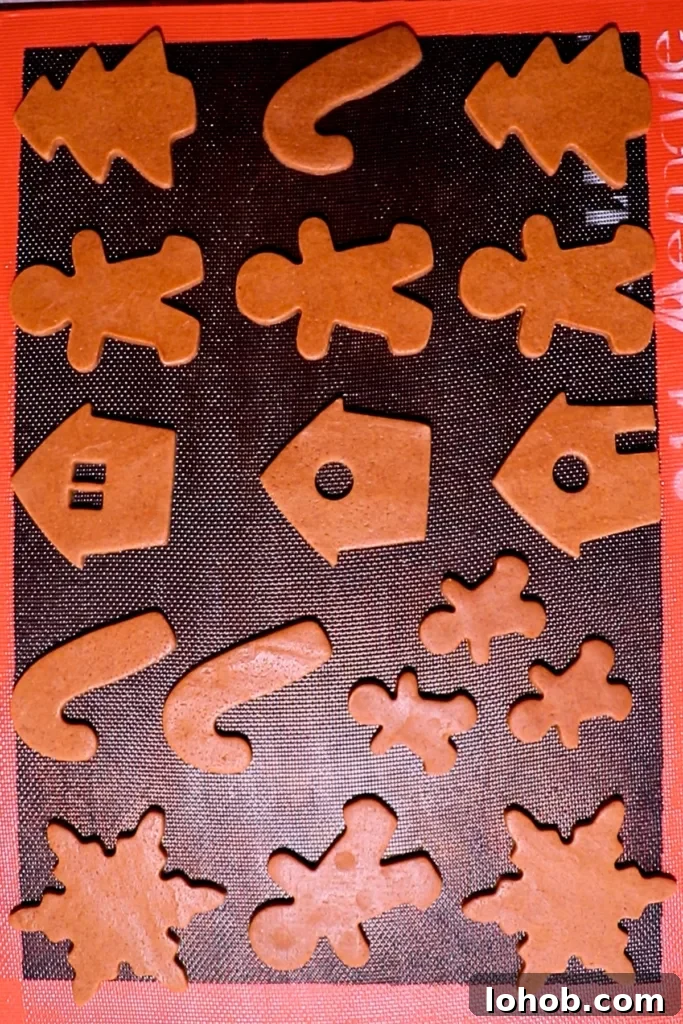 gingerbread cookie dough before baking