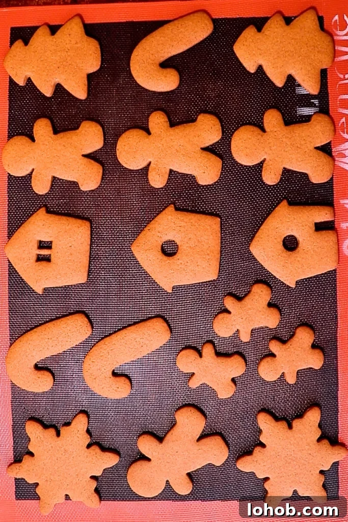 gingerbread cookie dough after baking