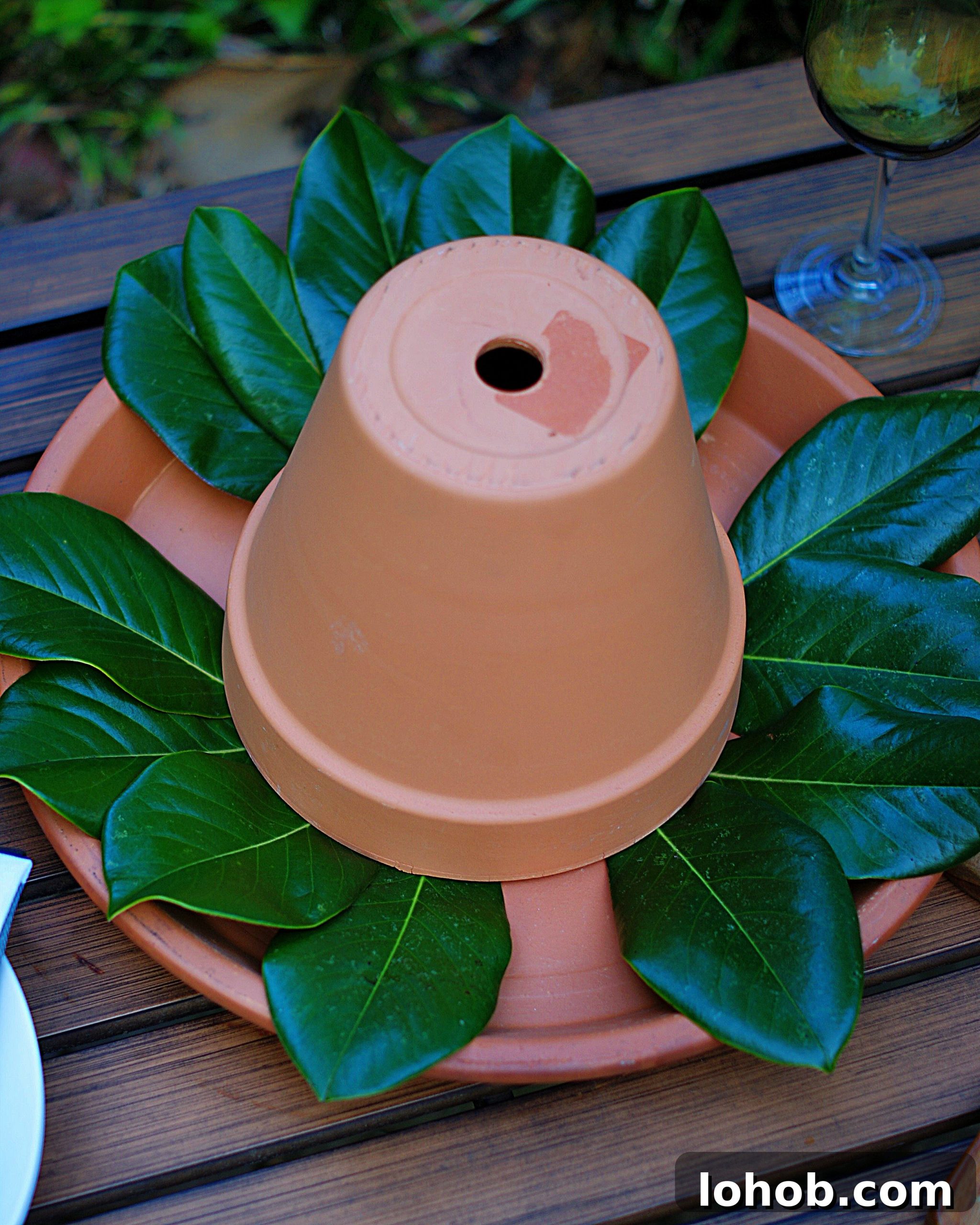 DIY Lemon Centerpiece: 5-Step Guide for Bright Table Decor 6 Lemon Centerpiece Step 2- adding magnolia leaves.