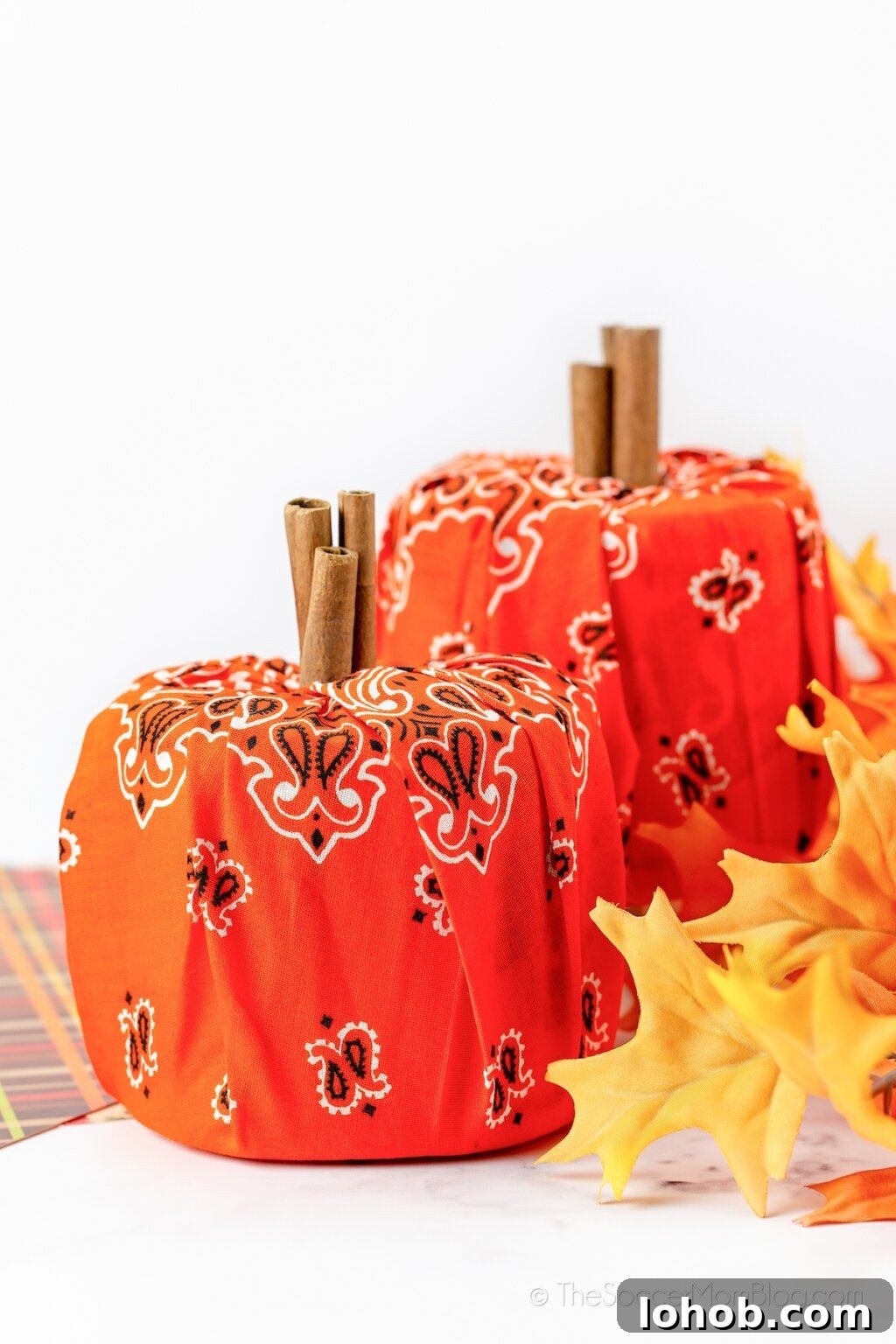 Bandana Pumpkins