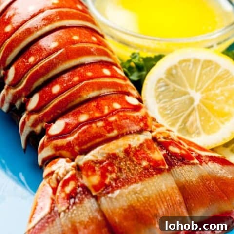 Lobster is easy to prepare yet so delicious and elegant. This lobster tail recipe and tips will make you a lobster cooking pro!