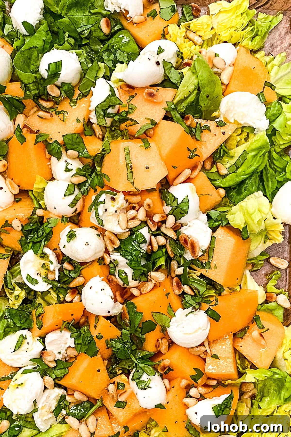 Cantaloupe and Fresh Mozzarella Salad with Toasted Pine Nuts 3 melon salad with fresh mozzarella