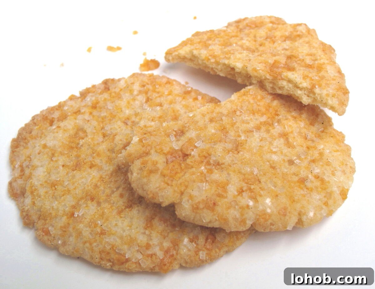 Two cookies with one broken to show thin, crisp interior.