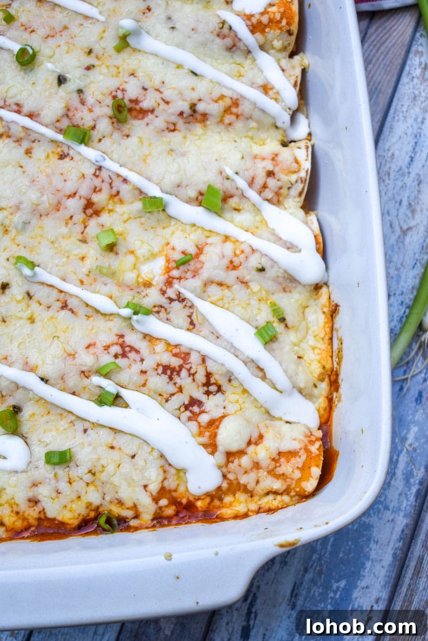 Buffalo Chicken Enchiladas with Creamy Ranch Sauce 4 buffalo chicken enchiladas in a white baking dish