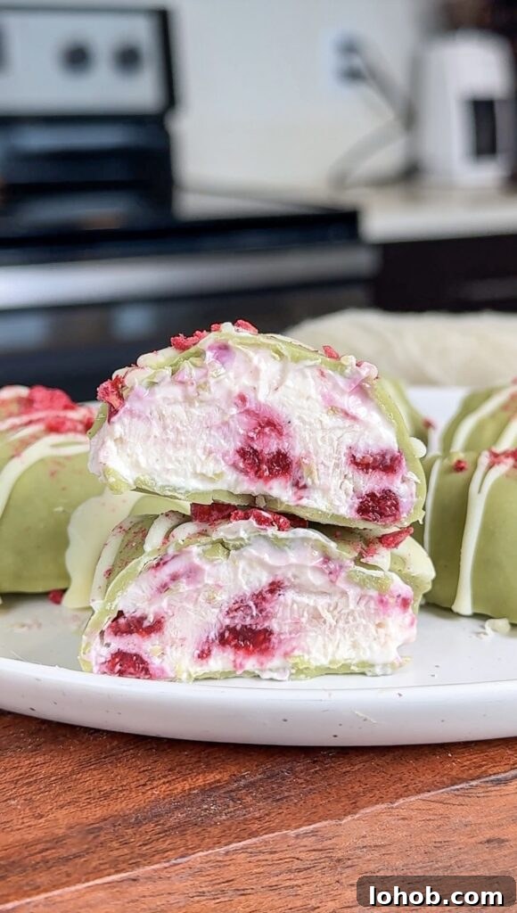 Raspberry Frozen Yogurt Bites: No-Bake Berry Clusters 2 Raspberry Frozen Yogurt Bites