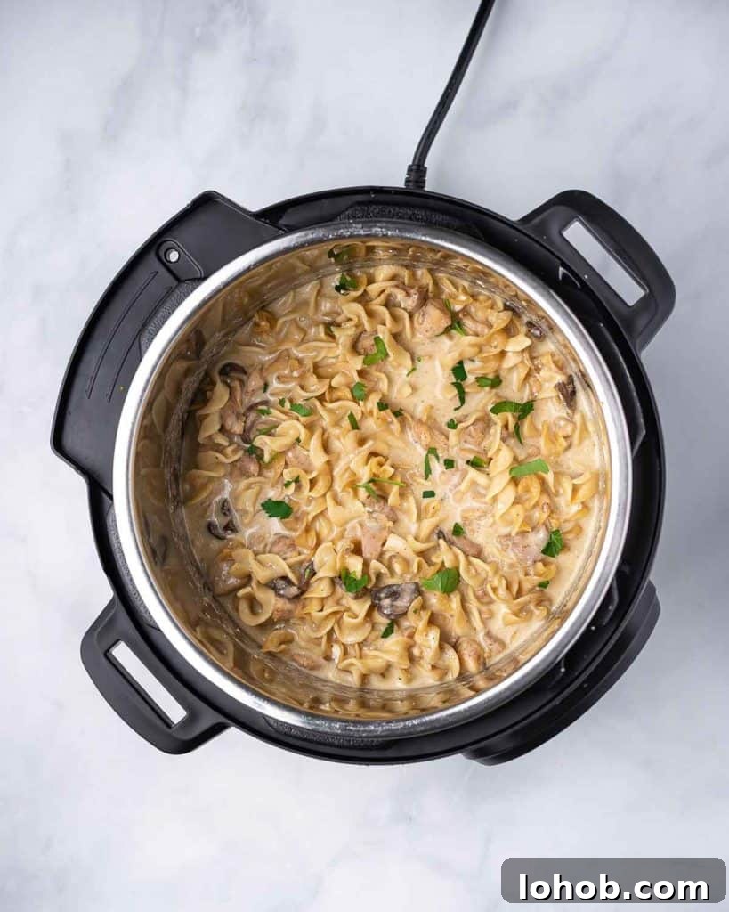 Creamy Instant Pot Chicken Stroganoff Recipe 11 Overhead view of instant pot chicken stroganoff.