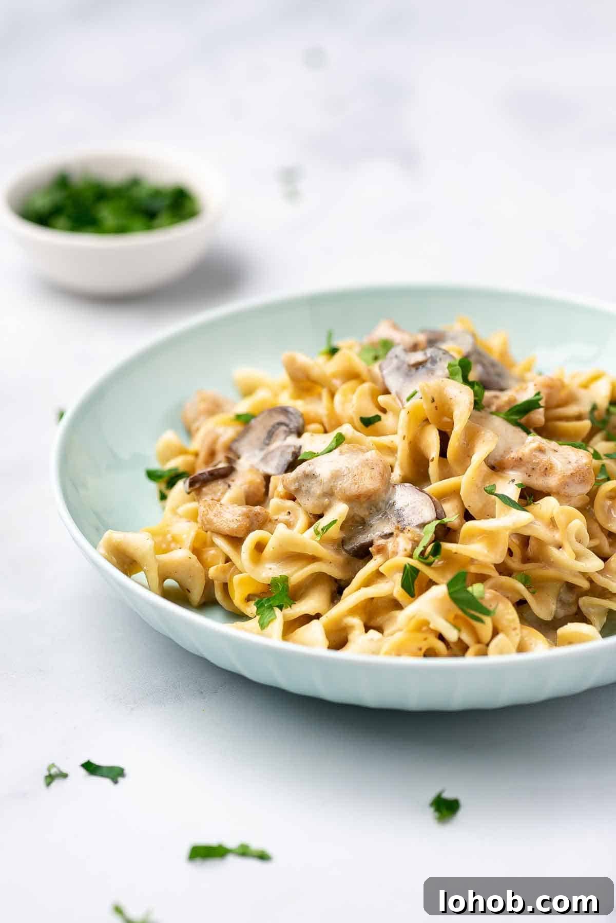 Creamy Instant Pot Chicken Stroganoff Recipe 13 A plate of instant pot chicken stroganoff.