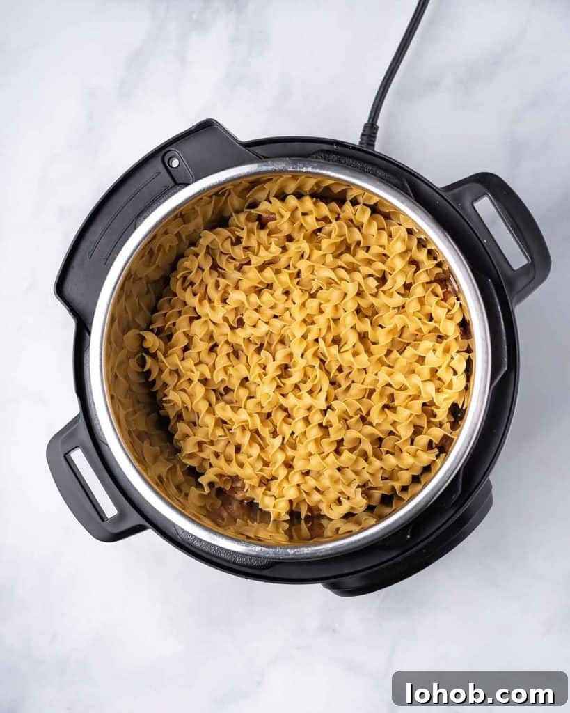 Creamy Instant Pot Chicken Stroganoff Recipe 7 Noodles added to the instant pot.