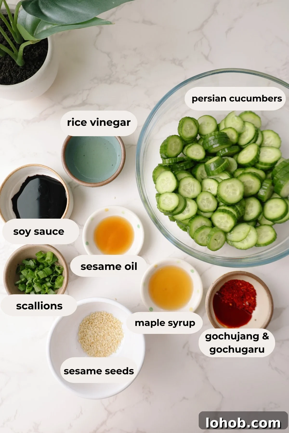 Korean Cucumber Salad (Oi Muchim) Recipe for Bold, Crunchy Flavor 3 Korean cucumber salad ingredients.