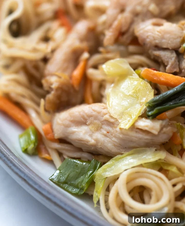 Homestyle Chicken Chow Mein: Quick Takeout-Style Recipe 2 A plate of chicken chow mein with cabbage, green onions, carrots and bean sprouts
