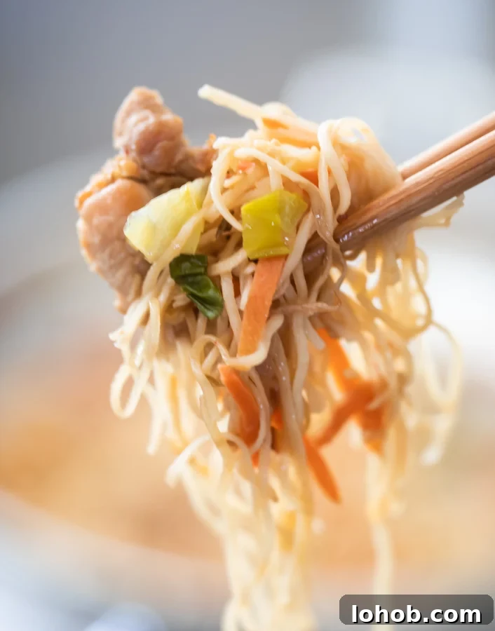 Homestyle Chicken Chow Mein: Quick Takeout-Style Recipe 3 picture of chopstick holding chicken chow mein with cabbage, green onions, carrots and bean sprouts and oyster sauce