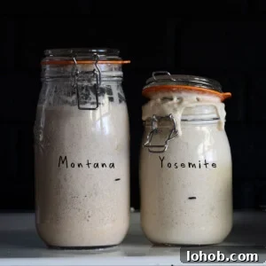Create and Maintain a Reliable Sourdough Starter for Homemade Bread 5 my sourdough starters (Montana and Yosemite) rising in mason jars