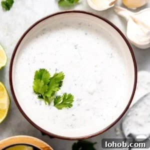 Cilantro Lime Sauce Recipe: Zesty Creamy Dip for Tacos & Grilled Meats 5 Bowl of cilantro lime sauce topped with fresh cilantro.