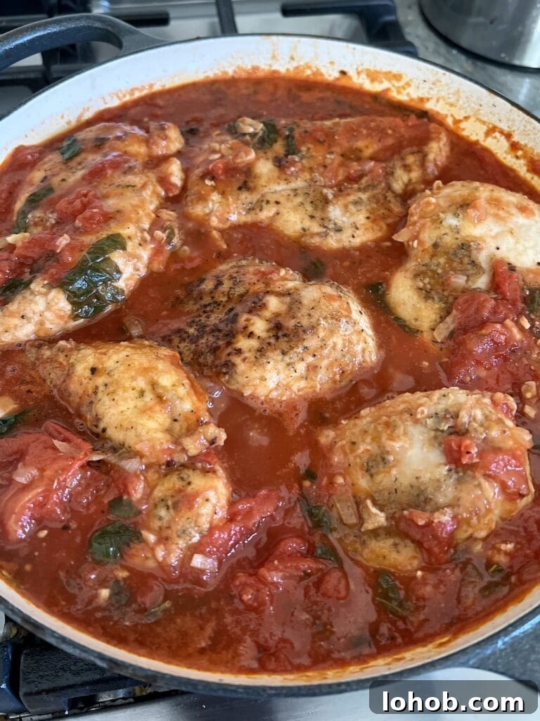 One-Pan Chicken Pomodoro Recipe for Quick Weeknight Dinners 14 Chicken with Tomatoes simmering in tomato sauce.