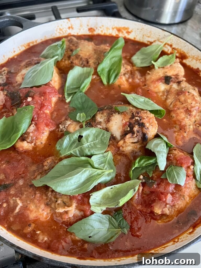 One-Pan Chicken Pomodoro Recipe for Quick Weeknight Dinners 16 Adding basil leaves to the finished pomodoro chicken.