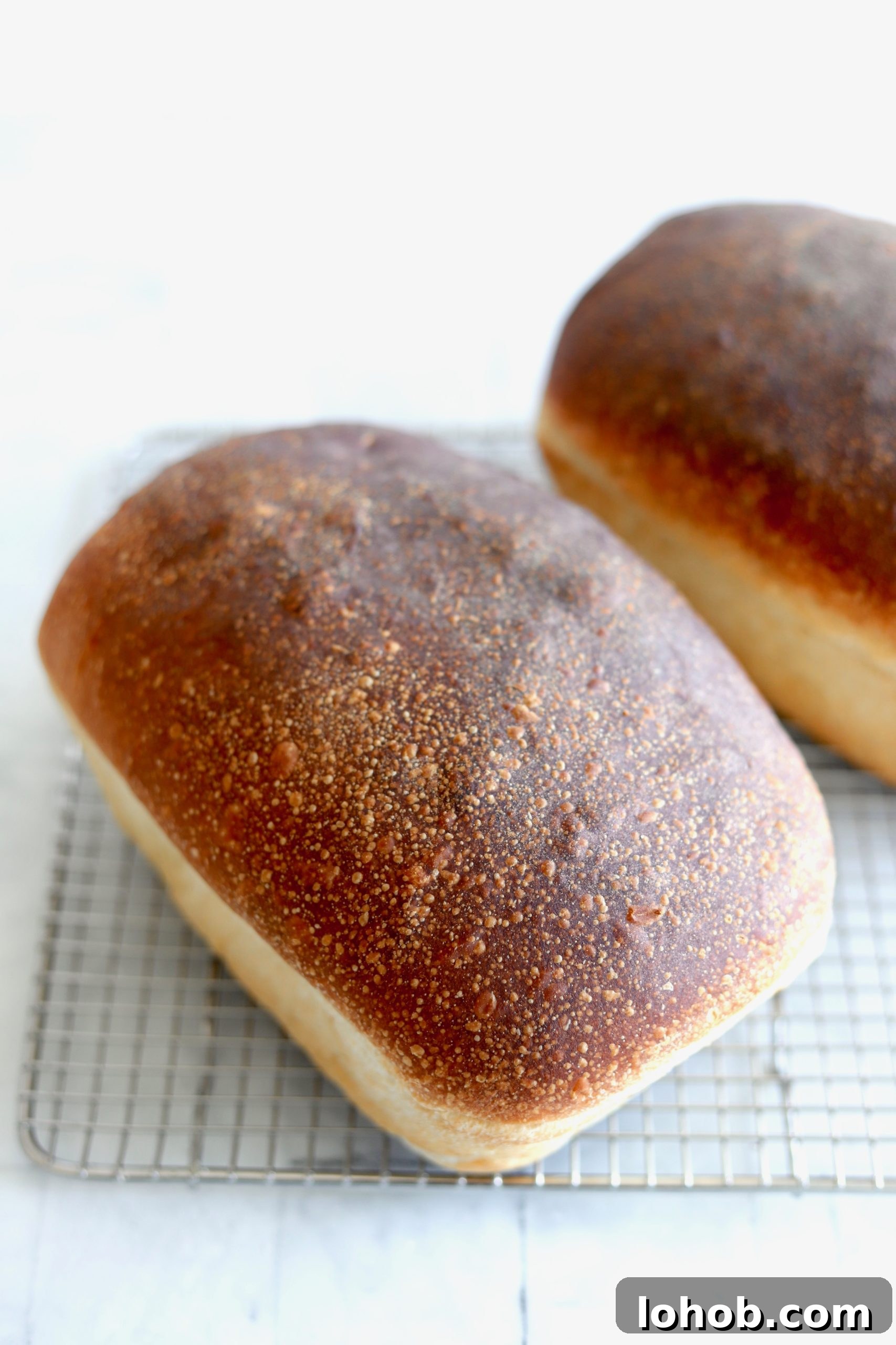 Sourdough Sandwich Bread Made with Natural Yeast 2 img 178 1