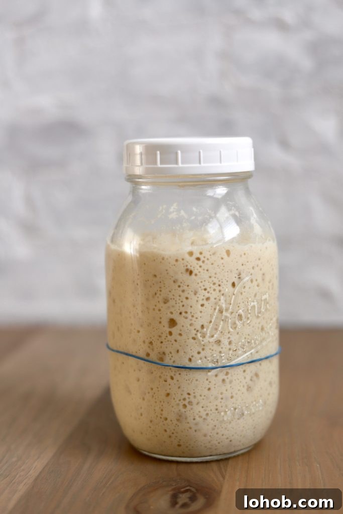 Sourdough Sandwich Bread Made with Natural Yeast 5 img 178 4