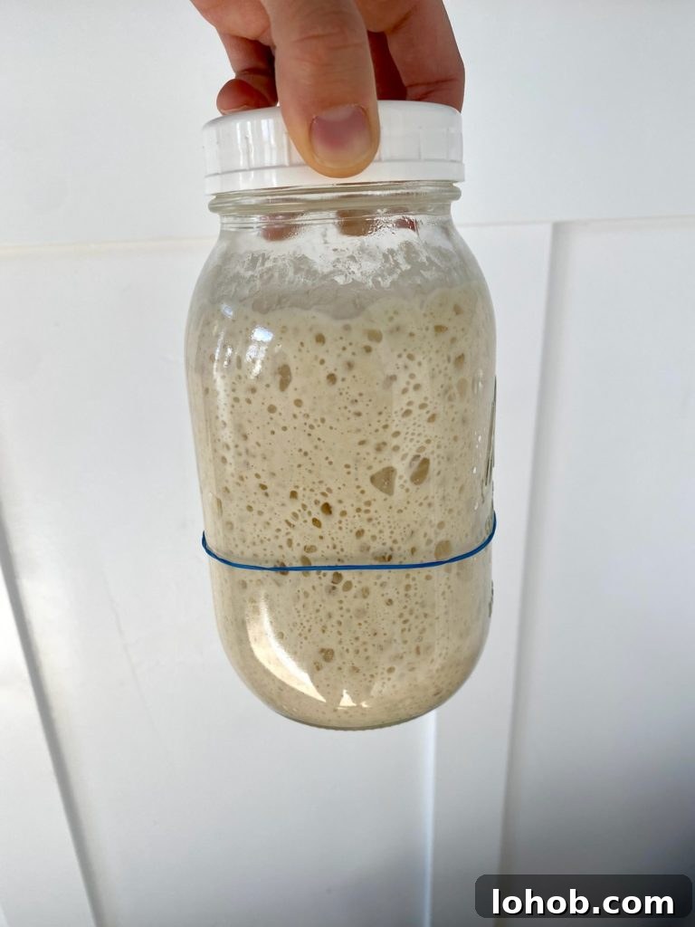 Sourdough Sandwich Bread Made with Natural Yeast 6 img 178 5
