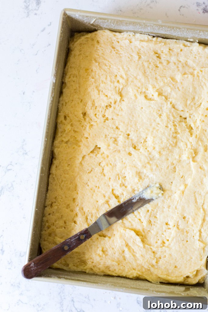 Strawberry Rhubarb Coffee Cake Recipe with Crumb Topping 12 Coffee Cake batter in pan