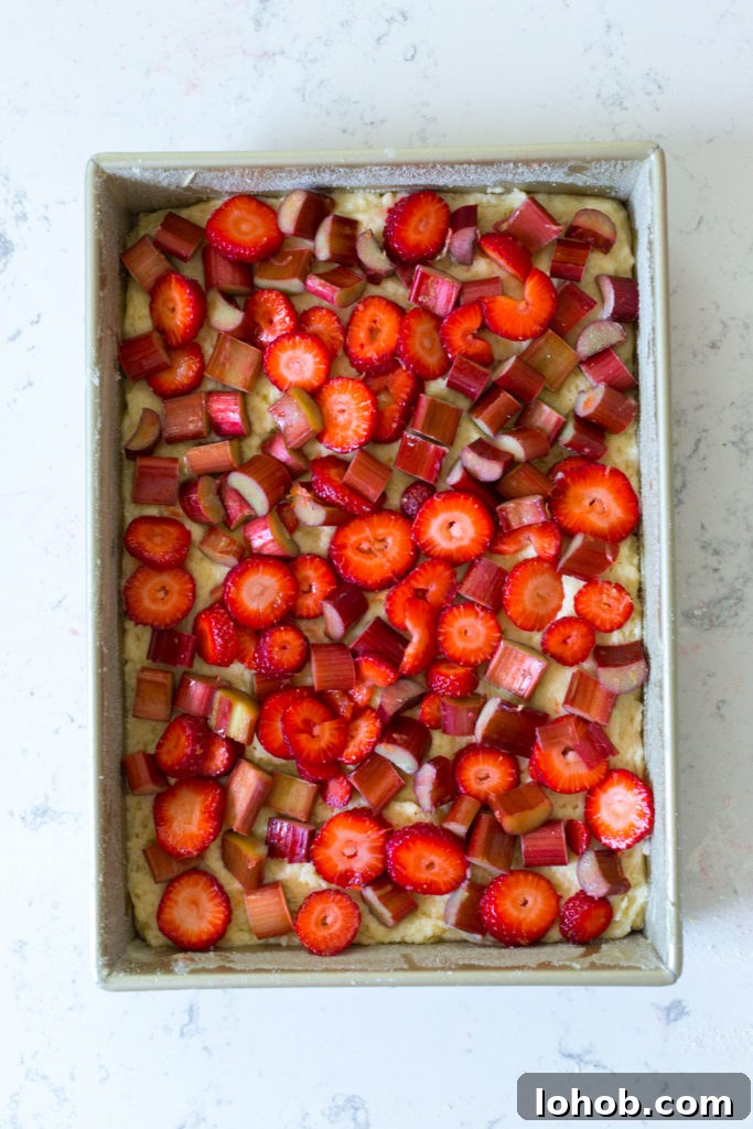 Strawberry Rhubarb Coffee Cake Recipe with Crumb Topping 13 Coffee Cake topped with strawberries & rhubarb