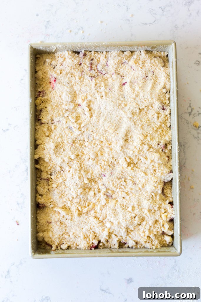 Strawberry Rhubarb Coffee Cake Recipe with Crumb Topping 14 Strawberry Rhubarb Coffee Cake streusel topping