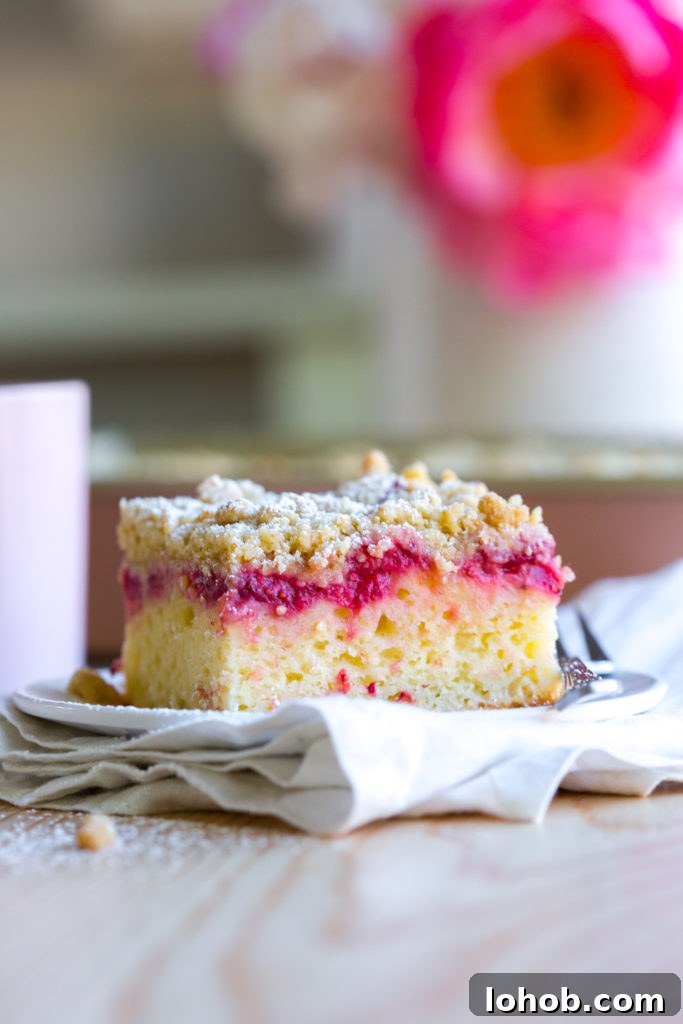 Strawberry Rhubarb Coffee Cake Recipe with Crumb Topping 16 Slice of Strawberry Rhubarb Coffee Cake