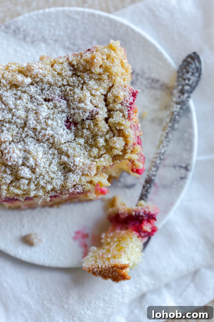 Strawberry Rhubarb Coffee Cake Recipe with Crumb Topping 19 Strawberry Rhubarb Coffee Cake bite