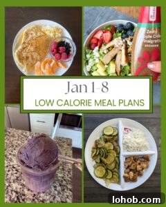 jan 1-8 low calorie meal plan