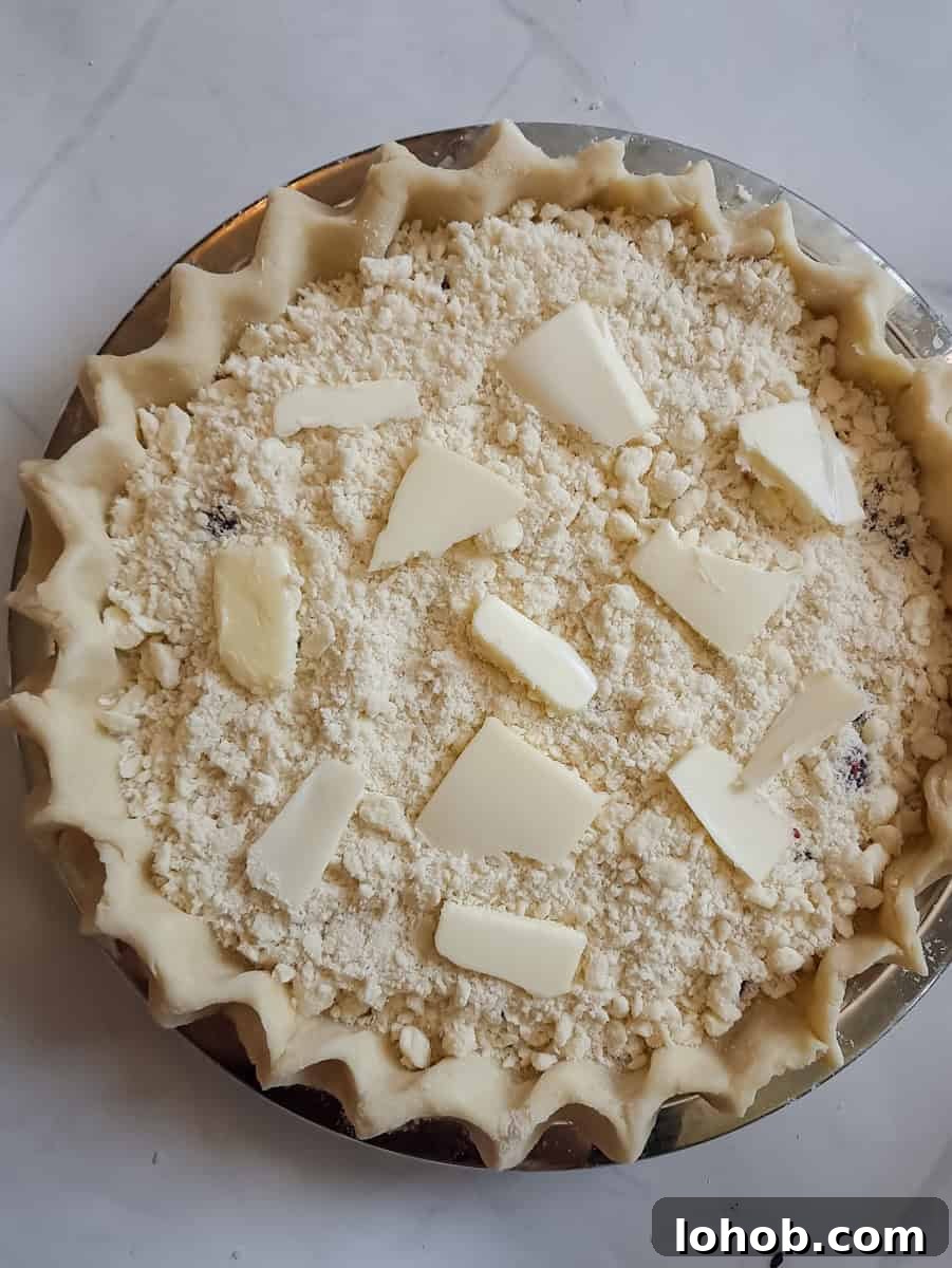 blackberry pie is ready to bake.